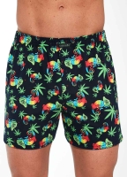 cornette-bokserki-męskie-luźne-001-135-kameleon